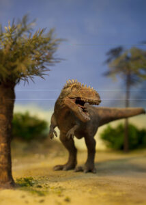 dino marek easy resize.com